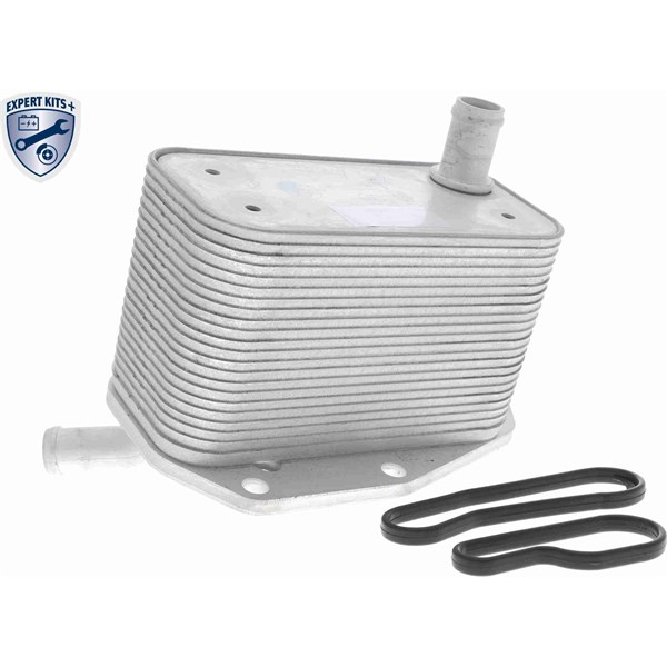 Oljekylare, motor