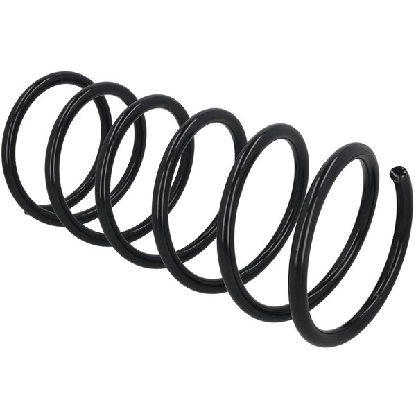 Spiralfjäder Spiralfjäder