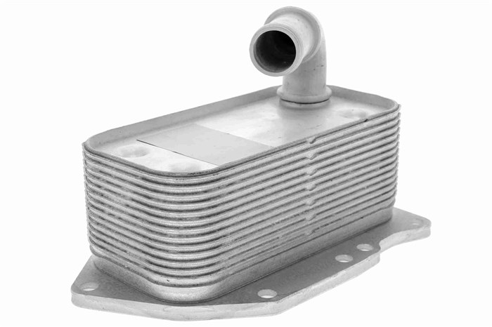 Oljekylare, motor