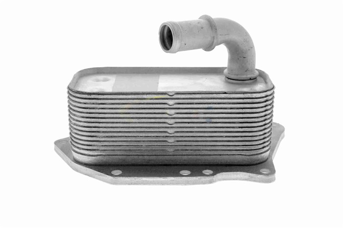 Oljekylare, motor