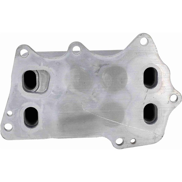 Oljekylare, motor