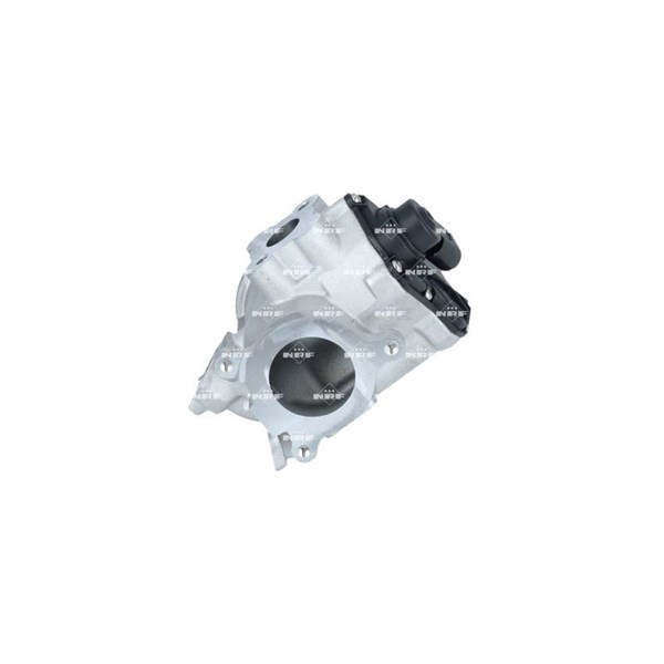 Egr-ventil 12V Nrf 48708 NRF