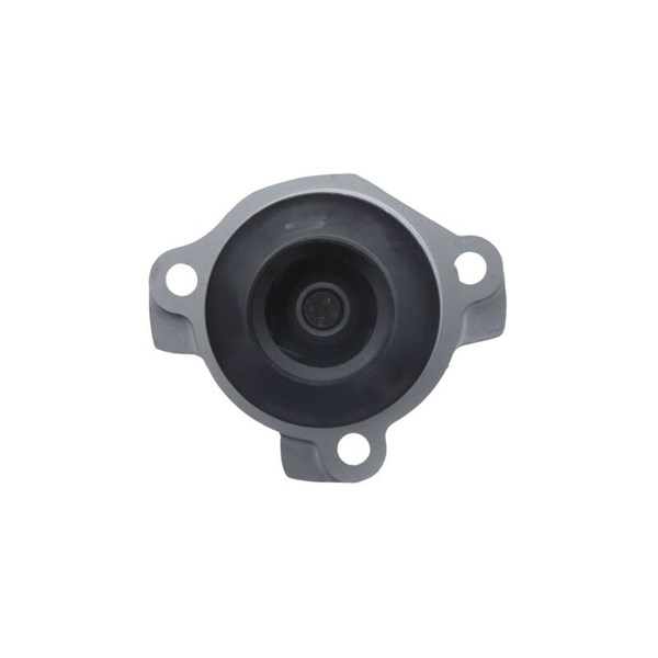 Vattenpump Valeo 529200 VALEO