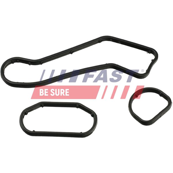 Ringpackning, oljekylare Fast FT48960 FAST