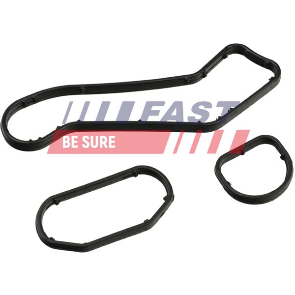 Ringpackning, oljekylare Fast FT48960 FAST