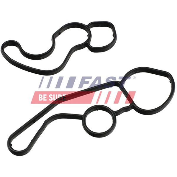 Ringpackning, oljekylare Fast FT48961 FAST