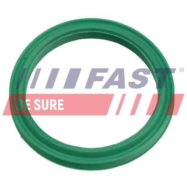 Insug, luftfilter Fast FT48962 FAST
