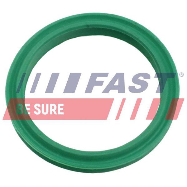 Insug, luftfilter Fast FT48962 FAST