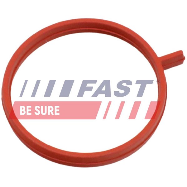 Insug, luftfilter Fast FT48963 FAST