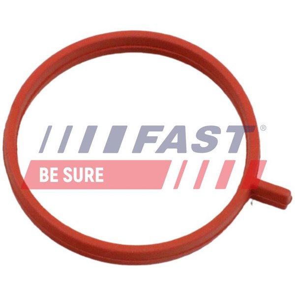Insug, luftfilter Fast FT48963 FAST
