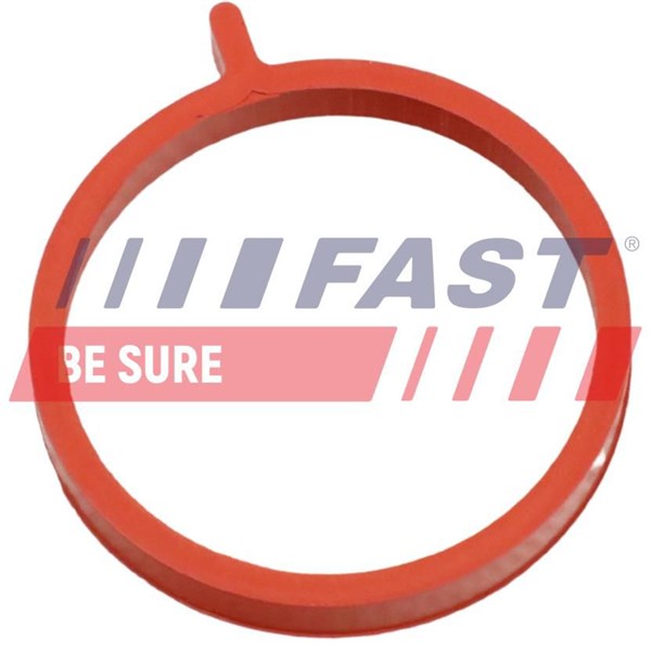 Insug, luftfilter Fast FT48964 FAST