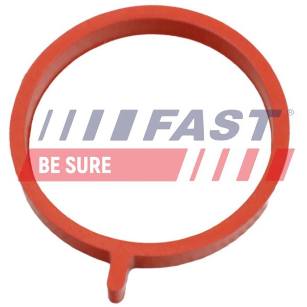 Insug, luftfilter Fast FT48964 FAST