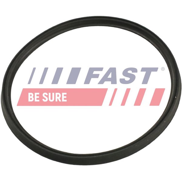 Insug, luftfilter Fast FT48965 FAST