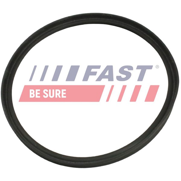 Insug, luftfilter Fast FT48965 FAST