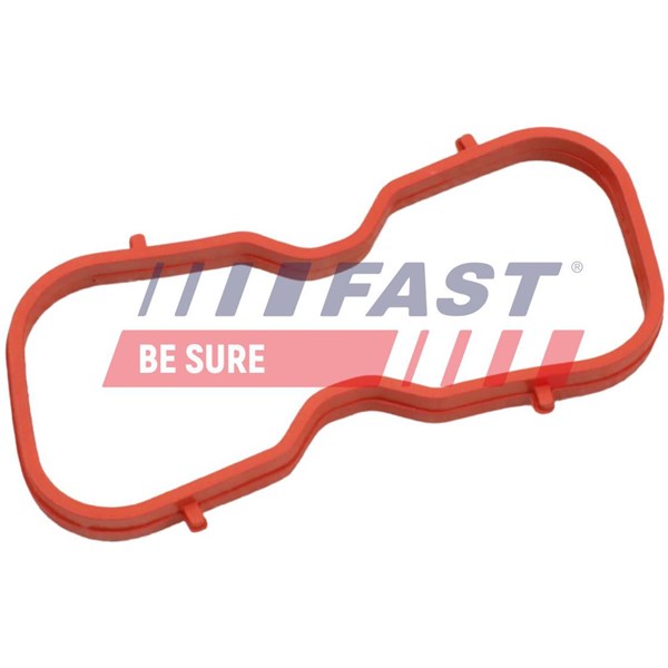 Packning, insugsgrenrör Fast FT49450 FAST