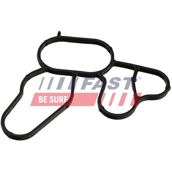 Ringpackning, oljekylare Fast FT49912 FAST