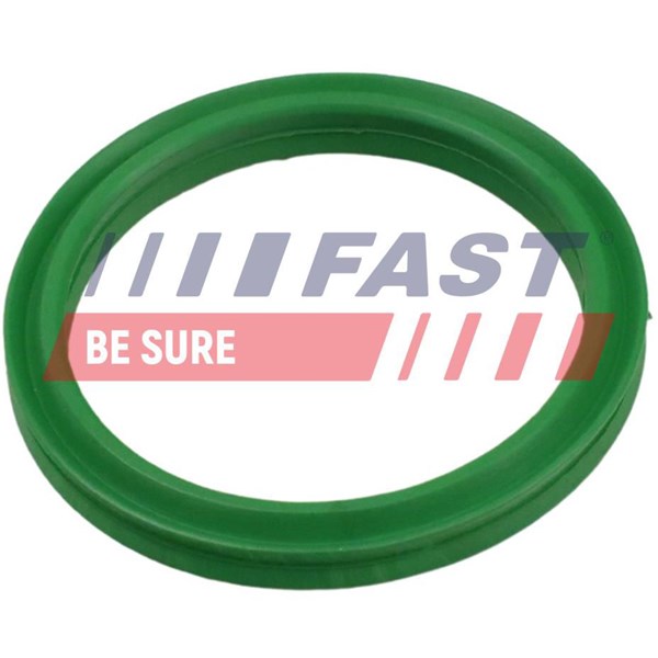 Insug, luftfilter Fast FT49936 FAST