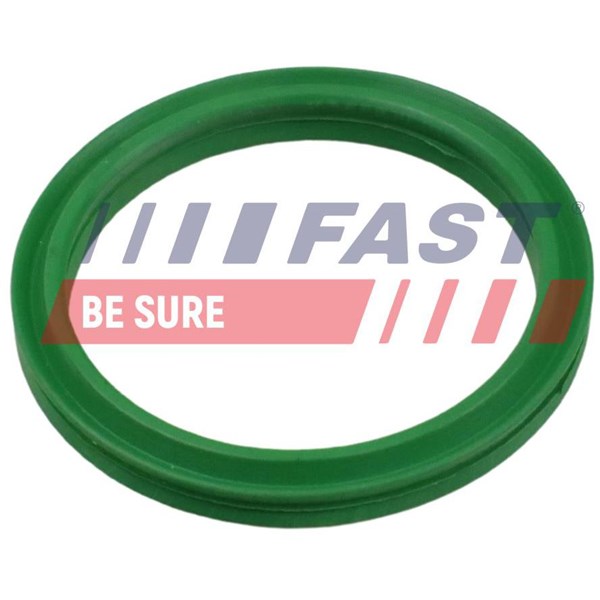 Insug, luftfilter Fast FT49936 FAST