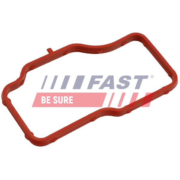Packning, termostathus Fast FT58307 FAST Packning, termostathus Fast FT58307 FAST