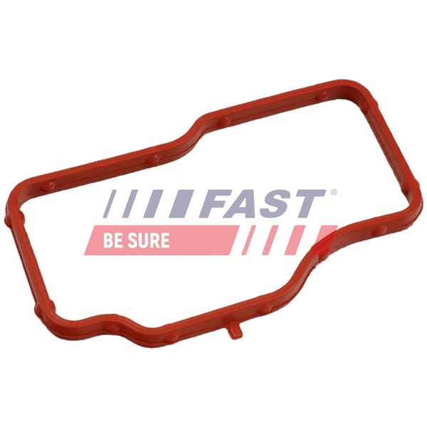 Packning, termostathus Fast FT58307 FAST Packning, termostathus Fast FT58307 FAST