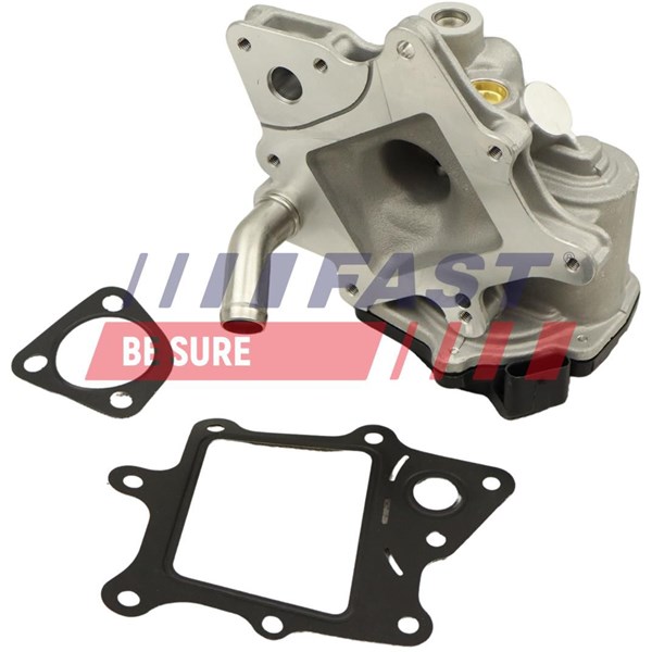 Egr-ventil Fast FT60231 FAST