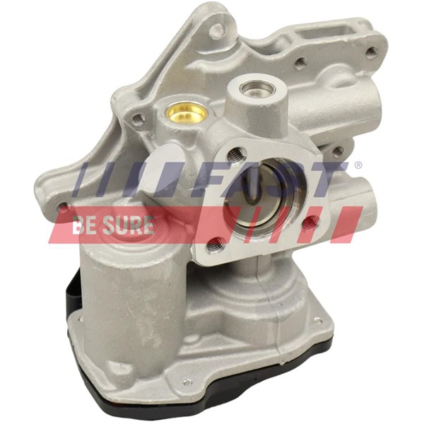 Egr-ventil Fast FT60231 FAST