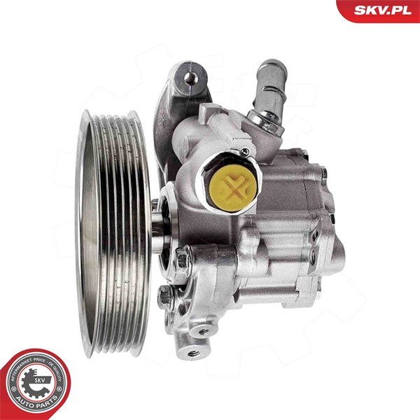 Servopump Esen skv 10SKV317 ESEN SKV