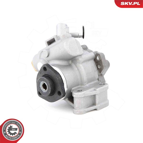 Servopump Esen skv 10SKV320 ESEN SKV
