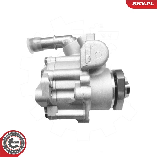 Servopump Esen skv 10SKV321 ESEN SKV