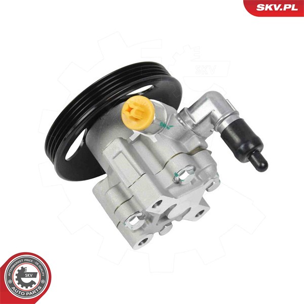 Servopump Esen skv 10SKV322 ESEN SKV Servopump Esen skv 10SKV322 ESEN SKV