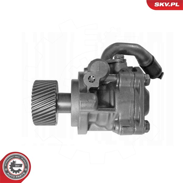 Servopump Esen skv 10SKV323 ESEN SKV Servopump Esen skv 10SKV323 ESEN SKV