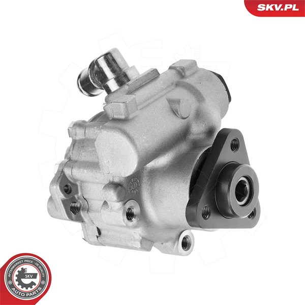 Servopump Esen skv 10SKV324 ESEN SKV