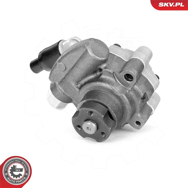 Servopump Esen skv 10SKV325 ESEN SKV