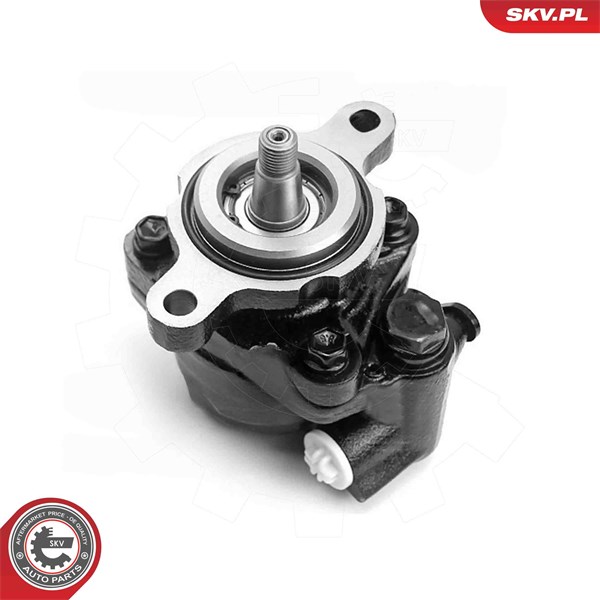 Servopump Esen skv 10SKV326 ESEN SKV