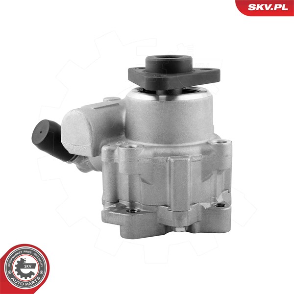 Servopump Esen skv 10SKV329 ESEN SKV