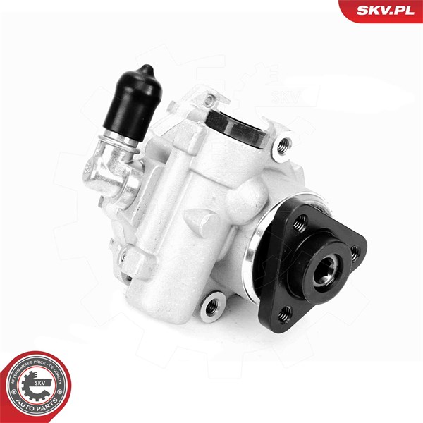 Servopump Esen skv 10SKV330 ESEN SKV