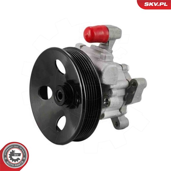 Servopump Esen skv 10SKV333 ESEN SKV Servopump Esen skv 10SKV333 ESEN SKV