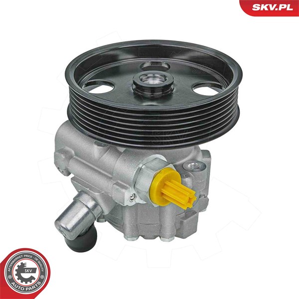 Servopump Esen skv 10SKV334 ESEN SKV
