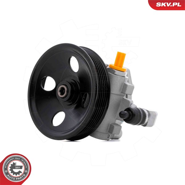 Servopump Esen skv 10SKV335 ESEN SKV