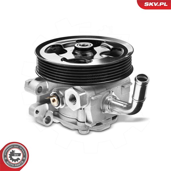 Servopump Esen skv 10SKV336 ESEN SKV Servopump Esen skv 10SKV336 ESEN SKV