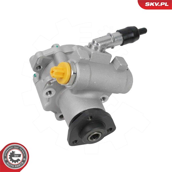 Servopump Esen skv 10SKV337 ESEN SKV