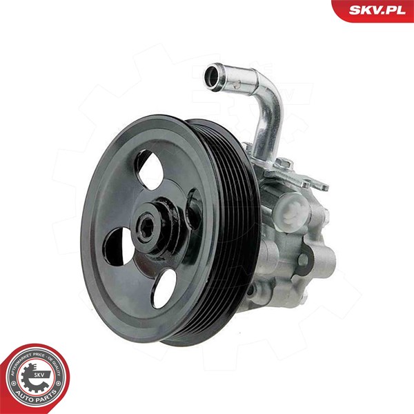 Servopump Esen skv 10SKV339 ESEN SKV