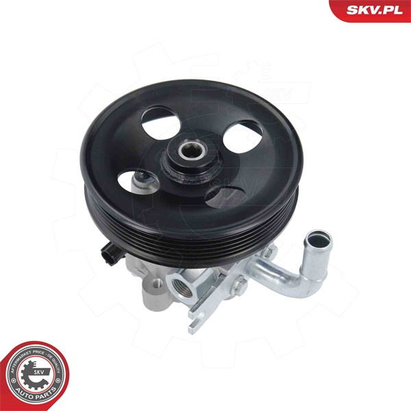 Servopump Esen skv 10SKV340 ESEN SKV