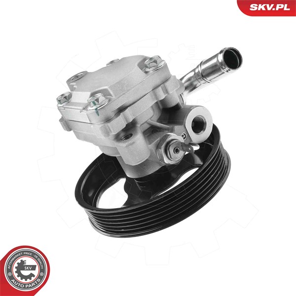 Servopump Esen skv 10SKV341 ESEN SKV