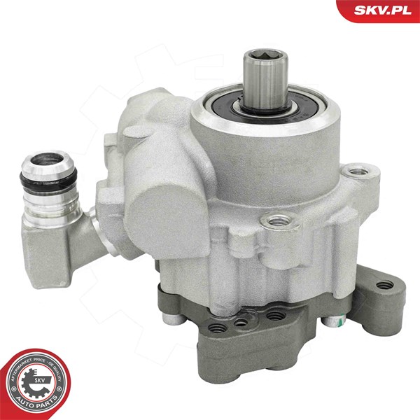 Servopump Esen skv 10SKV342 ESEN SKV Servopump Esen skv 10SKV342 ESEN SKV