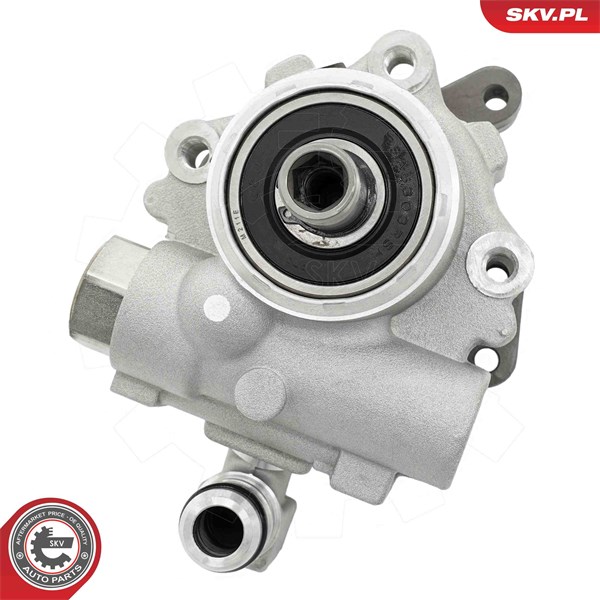Servopump Esen skv 10SKV342 ESEN SKV Servopump Esen skv 10SKV342 ESEN SKV