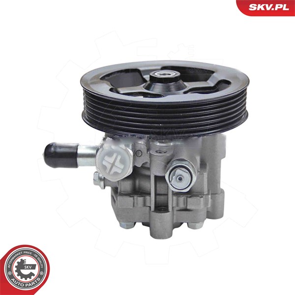 Servopump Esen skv 10SKV343 ESEN SKV