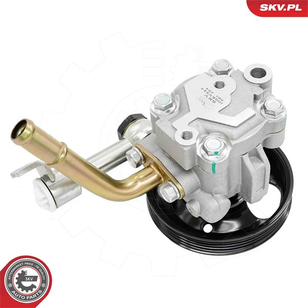 Servopump Esen skv 10SKV344 ESEN SKV