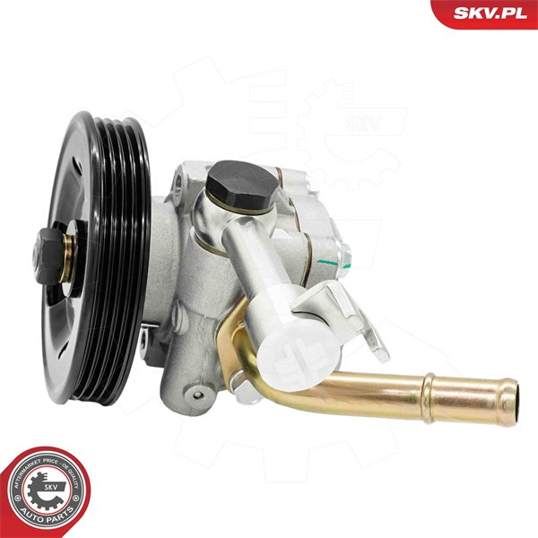 Servopump Esen skv 10SKV344 ESEN SKV
