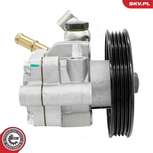 Servopump Esen skv 10SKV344 ESEN SKV